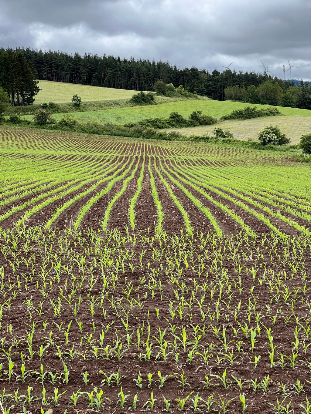 Day 2: Montbonnet to Monistrol-d’Allier