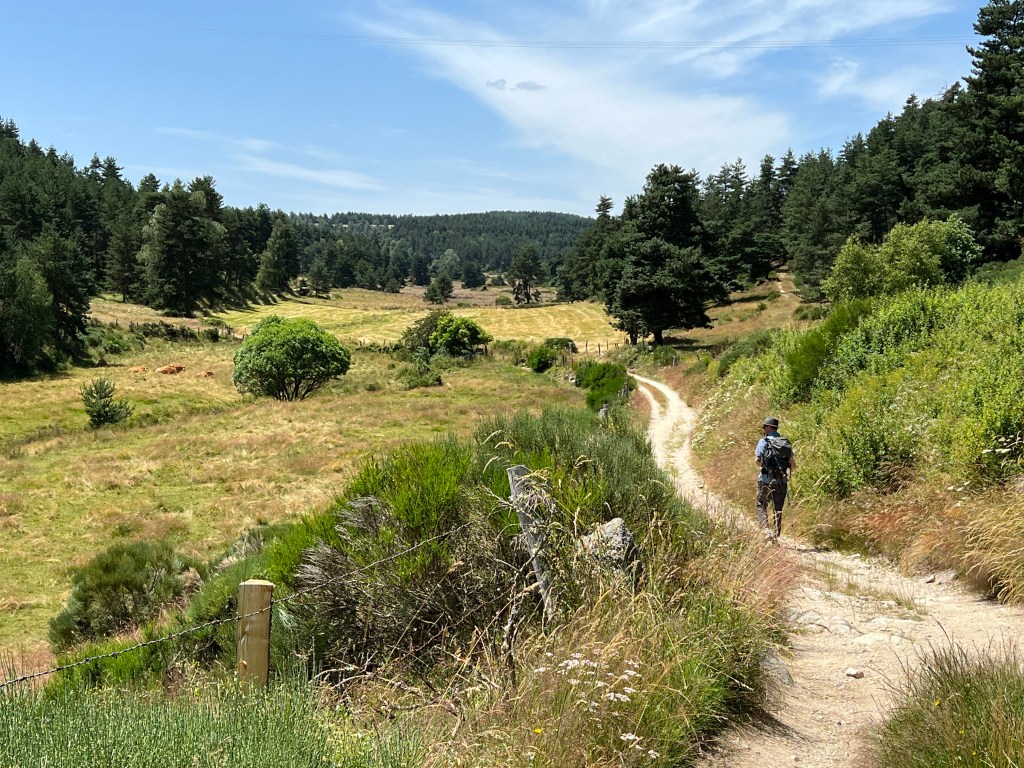 Day 6: Saint-Alban-sur-Limagnole to Aumont-Aubrac